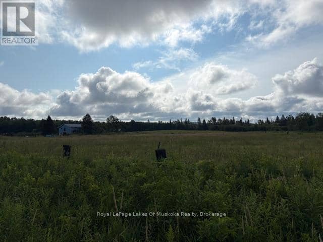 0 Old Muskoka To The West Side Of #1105 Road — photo 7 of 8