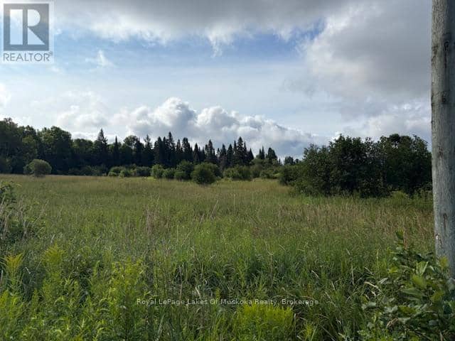 0 Old Muskoka To The East Side Of #1105 Road, Huntsville, photo 2