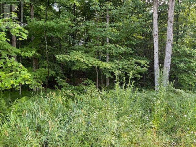 60 Summer Leigh Trail, Huntsville