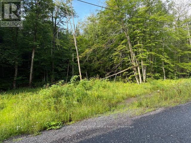 60 Summer Leigh Trail, Huntsville, photo 5