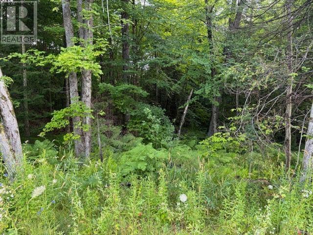 60 Summer Leigh Trail, Huntsville, photo 6