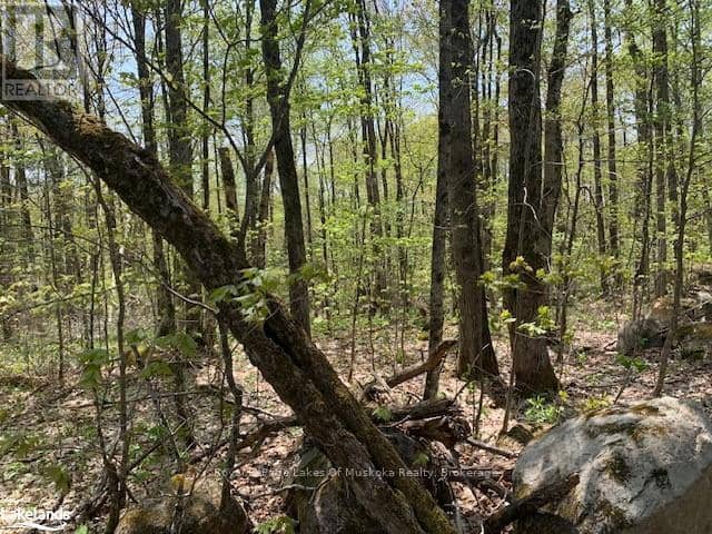 2376 South Horn Lake Road, Ryerson, photo 2