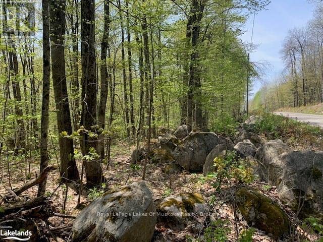 2376 South Horn Lake Road, Ryerson, photo 3