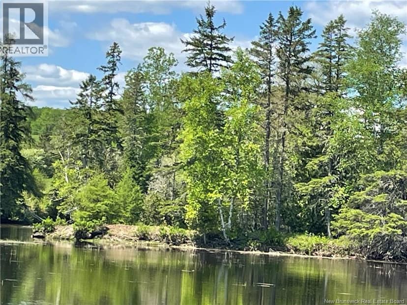 Lot 23-1 and Lot 23-2 Alden Warmen Road — photo 17 of 36