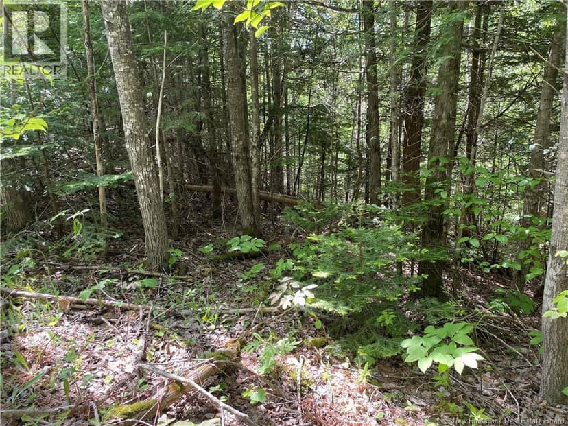 Lot 23-1 and Lot 23-2 Alden Warmen Road — photo 34 of 36