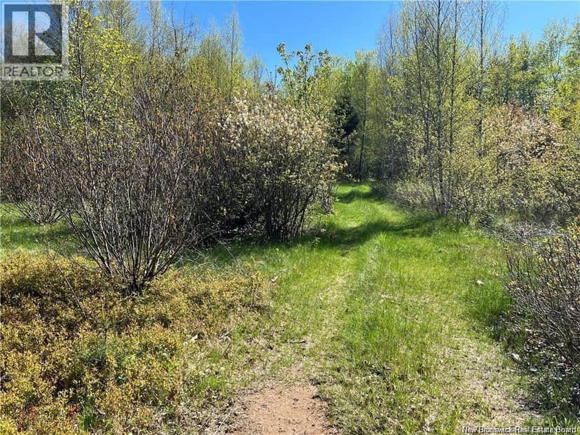 Lots Mooney Creek — photo 14 of 40