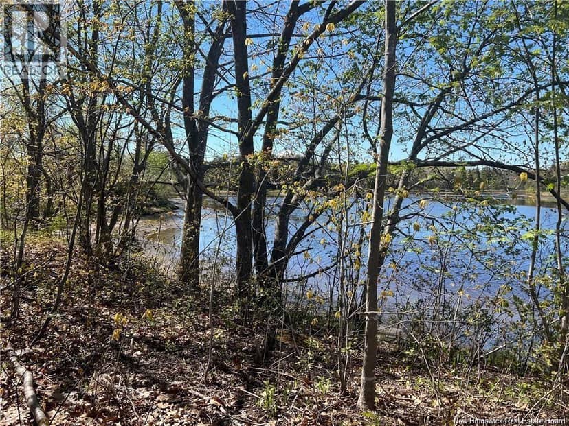 Lots Mooney Creek — photo 17 of 40