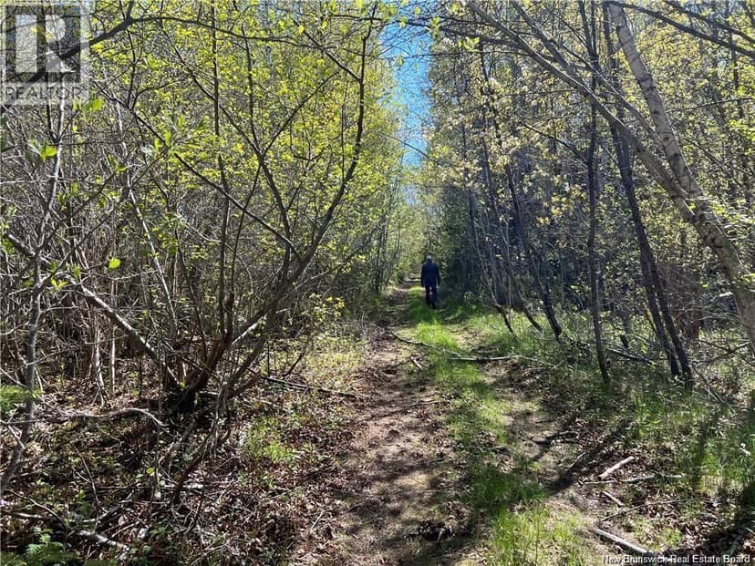 Lots Mooney Creek — photo 15 of 40