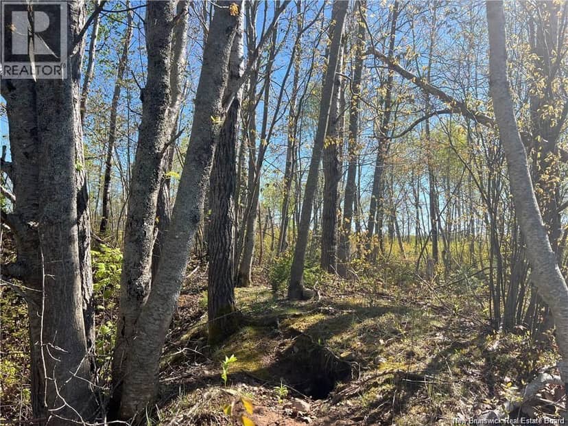 Lots Mooney Creek — photo 16 of 40