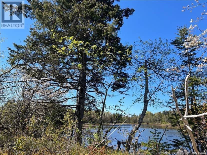 Lots Mooney Creek — photo 22 of 40