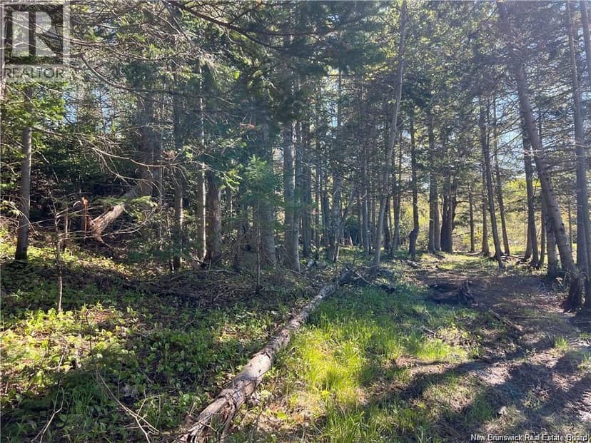Lots Mooney Creek — photo 27 of 40