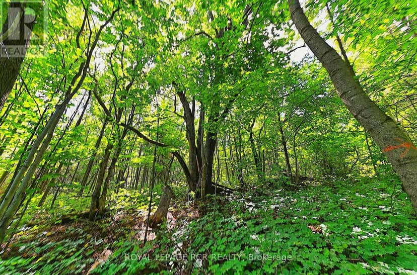 1614 Nottawasaga Concession Rd 10 — photo 38 of 40