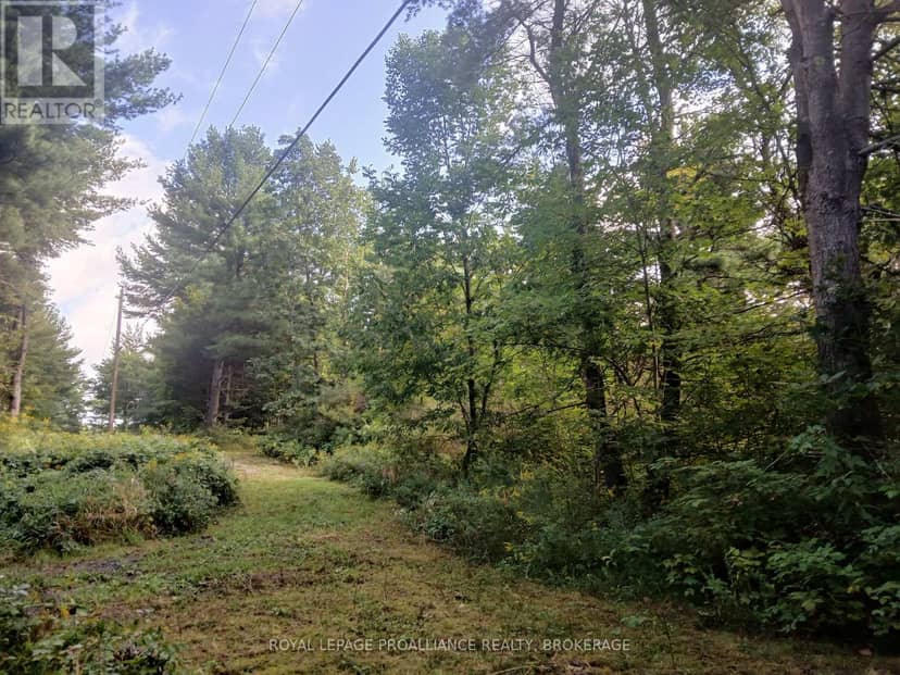 1030 Lodge Lane, Leeds and the Thousand Islands, photo 5