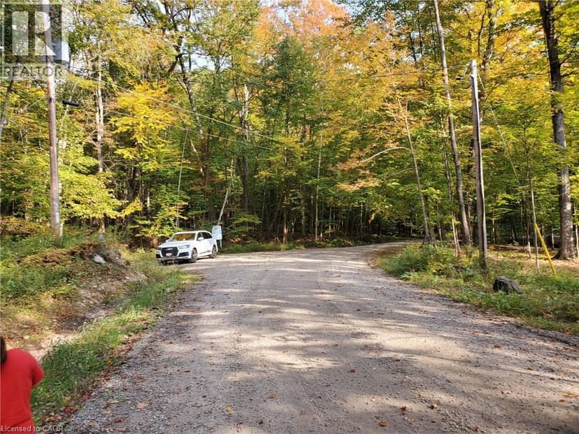 0 ECHO BAY Road — photo 11 of 13