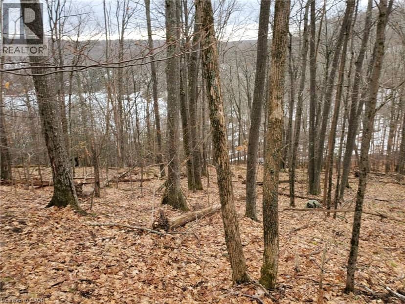 0 ECHO BAY Road, Dwight, photo 5