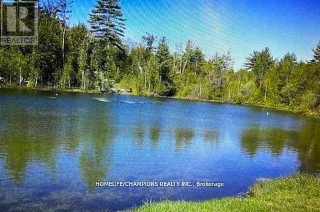 Lot 88 - 248 Pinnacle Hill Road, Alnwick/Haldimand, photo 5