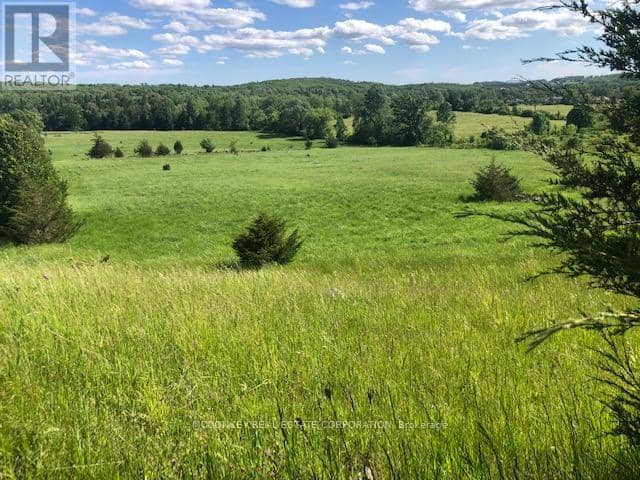 251 Concession Rd 13 E — photo 20 of 27