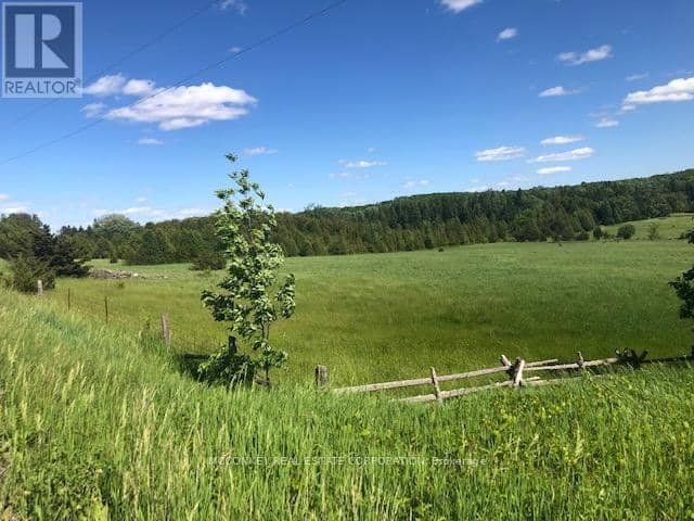 251 Concession Rd 13 E — photo 18 of 27