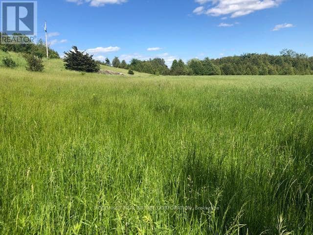 251 Concession Rd 13 E — photo 16 of 27