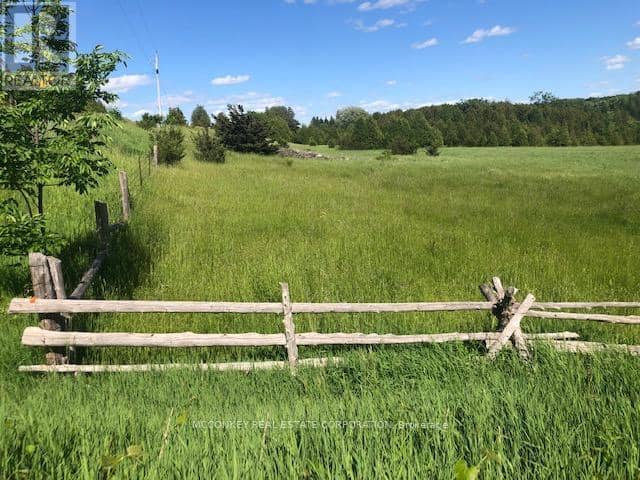 251 Concession Rd 13 E — photo 13 of 27