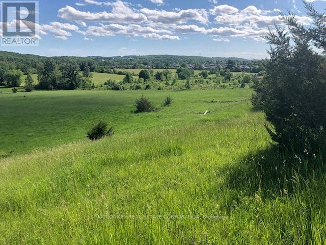 251 Concession Rd 13 E — photo 19 of 27
