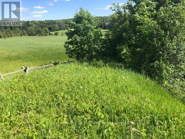 251 Concession Rd 13 E — photo 17 of 27
