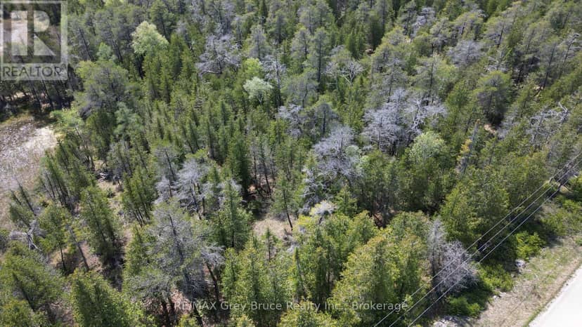 Lt 254 Dorcas Bay Road — photo 10 of 31
