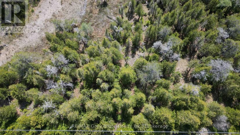 Lt 254 Dorcas Bay Road — photo 15 of 31