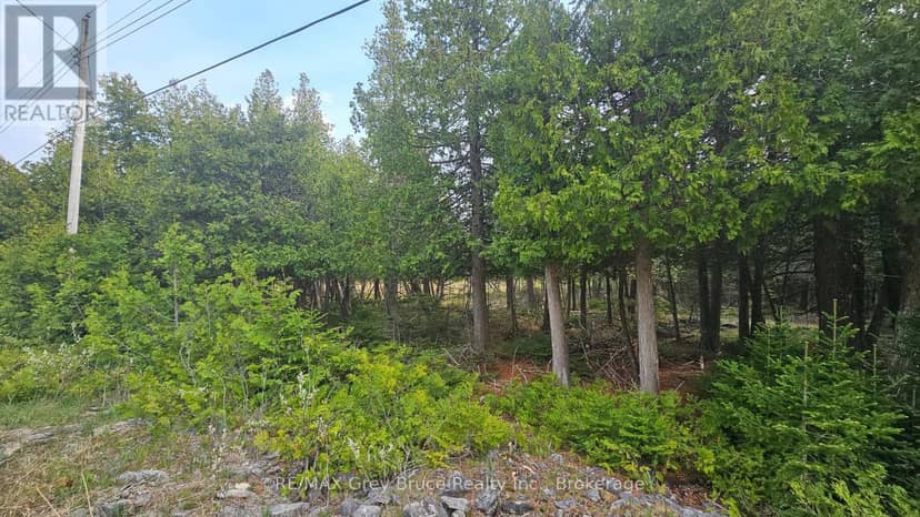 Lt 254 Dorcas Bay Road — photo 2 of 31