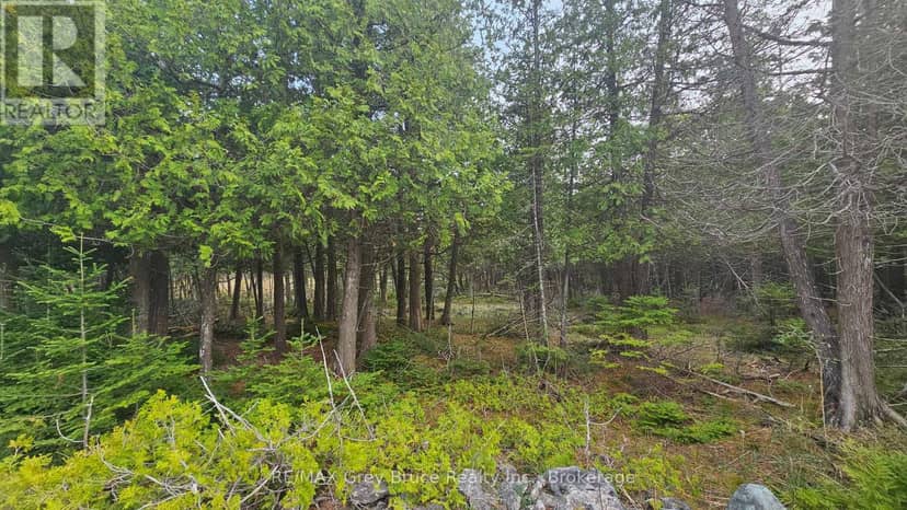 Lt 254 Dorcas Bay Road — photo 3 of 31