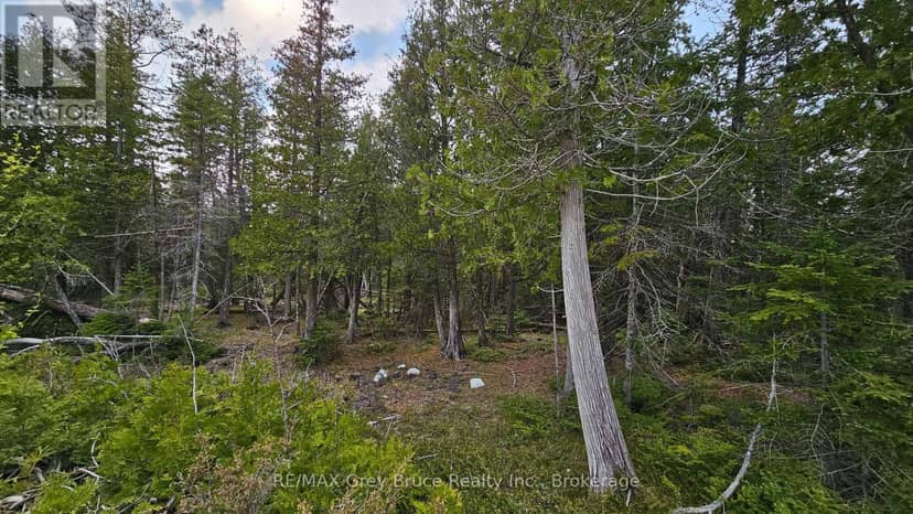 Lt 254 Dorcas Bay Road — photo 4 of 31