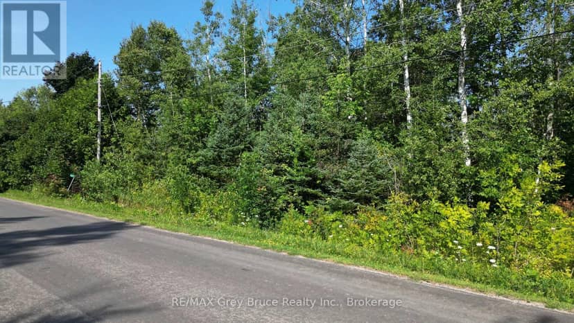 127 Maple Drive — photo 4 of 23