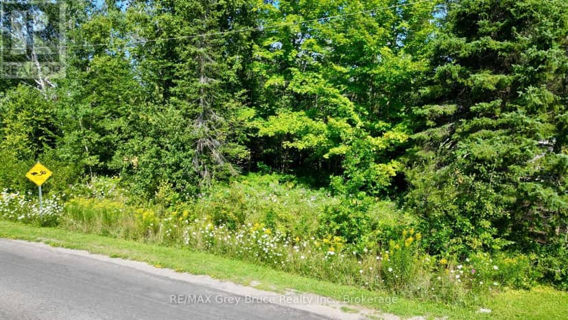 Part 28 Maple Drive — photo 18 of 22