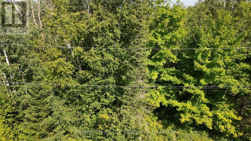 Part 28 Maple Drive — photo 6 of 22