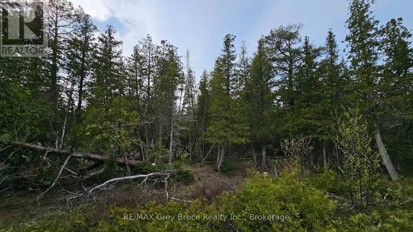 Lt 255 Pedwell Pt. Drive — photo 10 of 30