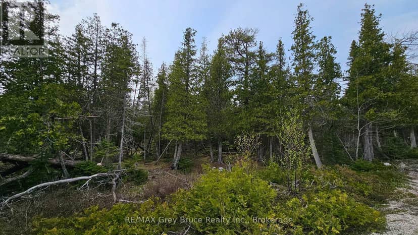 Lt 255 Pedwell Pt. Drive — photo 11 of 30