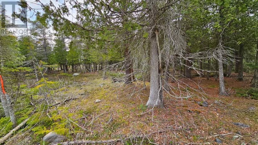Lt 255 Pedwell Pt. Drive — photo 12 of 30