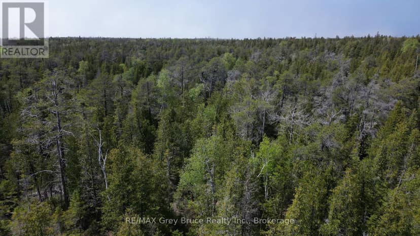 Lt 255 Pedwell Pt. Drive — photo 20 of 30