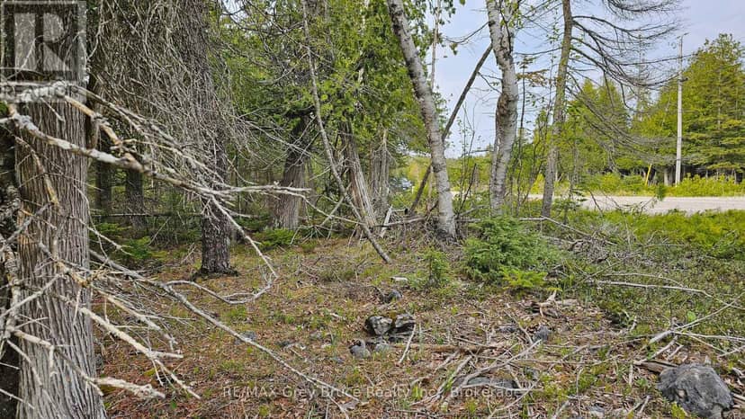 Lt 255 Pedwell Pt. Drive — photo 4 of 30