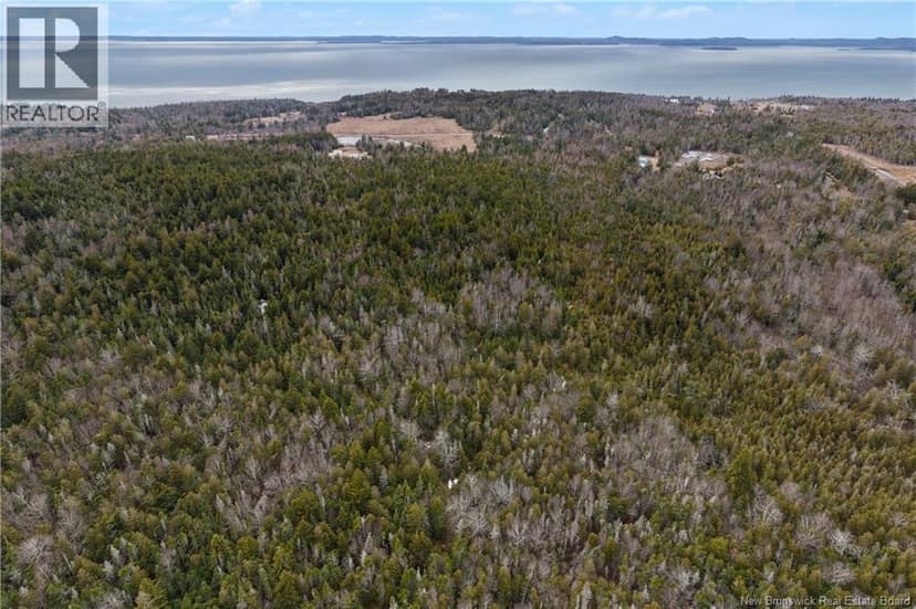 LOT Mascarene Road — photo 13 of 16