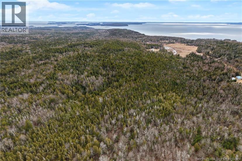 LOT Mascarene Road — photo 15 of 16