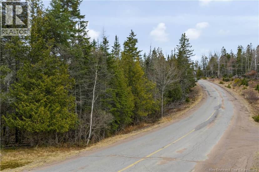 LOT Mascarene Road — photo 8 of 16