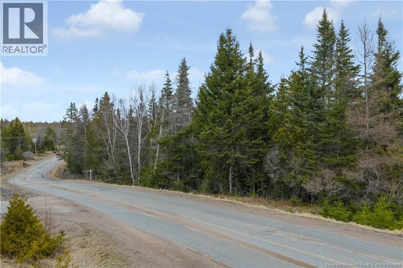 LOT Mascarene Road — photo 9 of 16