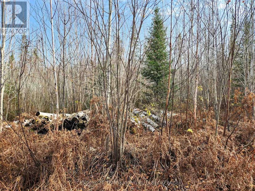 Lot 11 Con 4, Long Lake — photo 23 of 28
