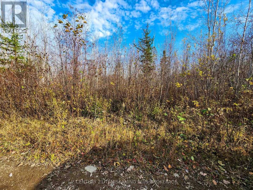 Lot 11 Con 4, Long Lake — photo 24 of 28