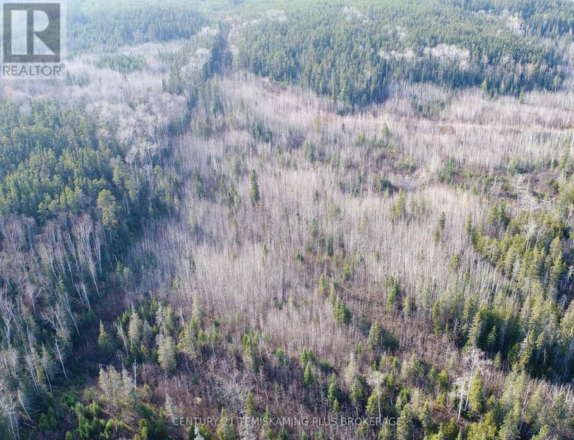 Lot 11 Con 4, Long Lake — photo 8 of 28