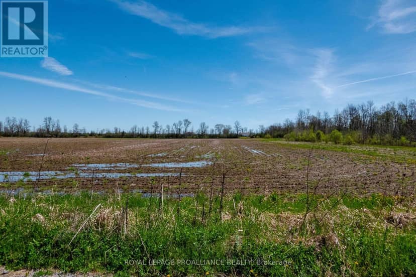 00 Callaghan Road, Tyendinaga, photo 4