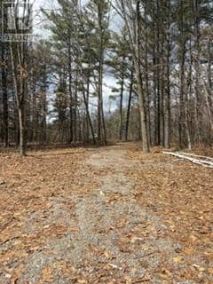 97 Greenly Road — photo 10 of 20