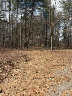 97 Greenly Road — photo 11 of 20
