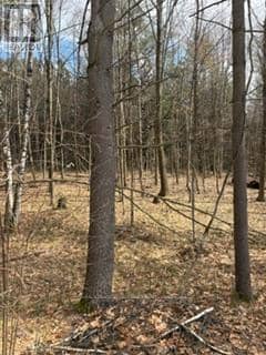 97 Greenly Road — photo 9 of 20